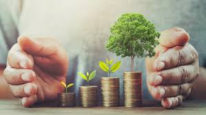 The Global Shift Toward Sustainable Business Practices